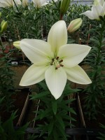 [5070 Litouwen No01.JPG]